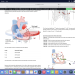 Introduction to ECG – 1st part